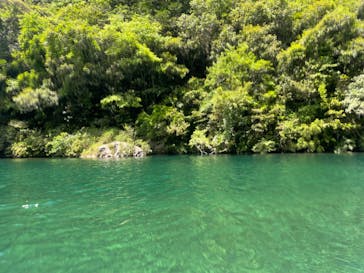 仁淀川アウトドアセンターに投稿された画像（2024/5/19）