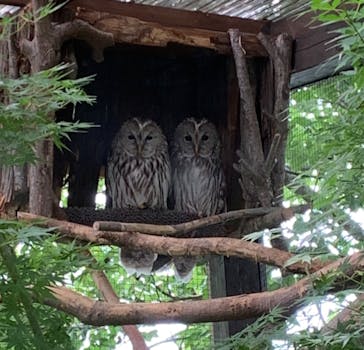 環境水族館アクアマリンふくしまに投稿された画像（2024/5/19）