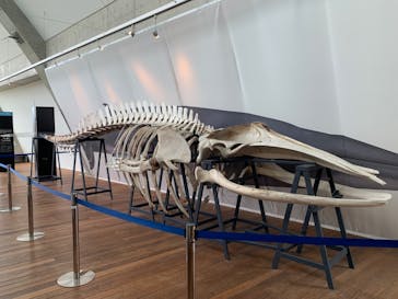 環境水族館アクアマリンふくしまに投稿された画像（2024/5/19）