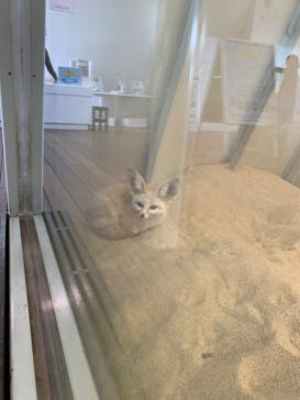 環境水族館アクアマリンふくしまに投稿された画像（2024/5/19）