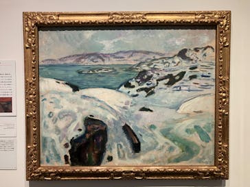 北欧の神秘（ＳＯＭＰＯ美術館）に投稿された画像（2024/5/19）