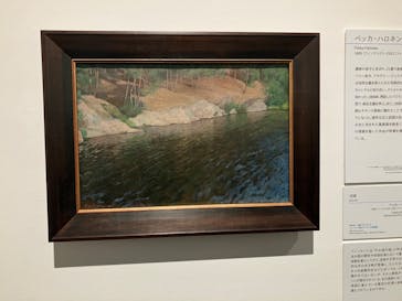 北欧の神秘（ＳＯＭＰＯ美術館）に投稿された画像（2024/5/19）