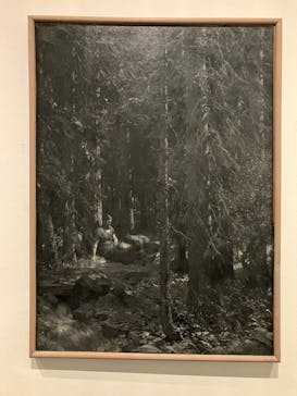 北欧の神秘（ＳＯＭＰＯ美術館）に投稿された画像（2024/5/19）