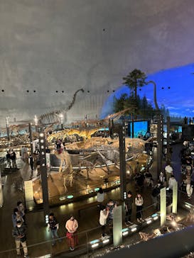 福井県立恐竜博物館に投稿された画像（2024/5/19）