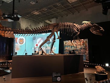 国立科学博物館に投稿された画像（2024/5/19）