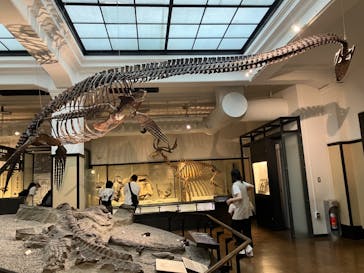 国立科学博物館に投稿された画像（2024/5/19）