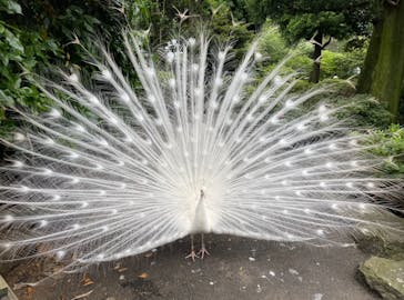 伊豆シャボテン動物公園に投稿された画像（2024/5/19）