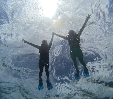 宮古島 ADVENTURE PiPi（ミヤコジマ アドベンチャー ピピ）に投稿された画像（2024/5/19）