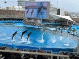 名古屋港水族館に投稿された画像（2024/5/19）