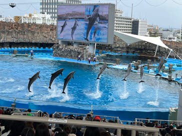 名古屋港水族館に投稿された画像（2024/5/19）