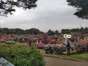 京成バラ園に投稿された画像（2024/5/19）