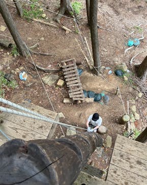 冒険の森のせに投稿された画像（2024/5/19）