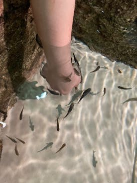 DMMかりゆし水族館に投稿された画像（2024/5/19）
