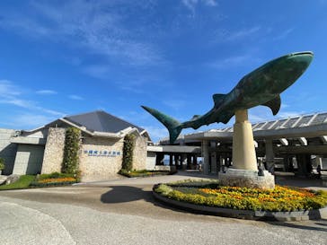 沖縄美ら海水族館に投稿された画像（2024/5/19）