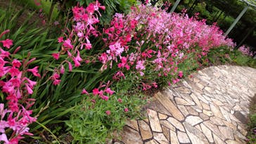 浜名湖花博2024に投稿された画像（2024/5/19）