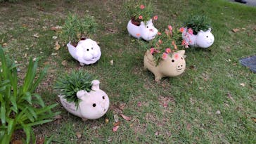 浜名湖花博2024に投稿された画像（2024/5/19）