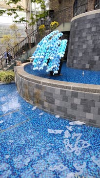 浜名湖花博2024に投稿された画像（2024/5/19）