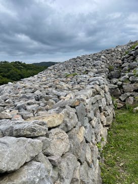 今帰仁城跡に投稿された画像（2024/5/19）