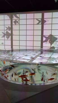 NARA KINGYO MUSEUMに投稿された画像（2024/5/19）