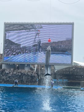 名古屋港水族館に投稿された画像（2024/5/19）