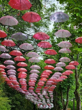 ムーミンバレーパークに投稿された画像（2024/5/19）