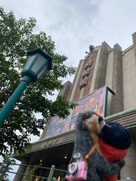 西武園ゆうえんちに投稿された画像（2024/5/19）