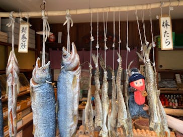 西武園ゆうえんちに投稿された画像（2024/5/19）