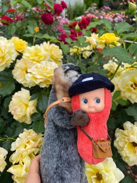 西武園ゆうえんちに投稿された画像（2024/5/19）