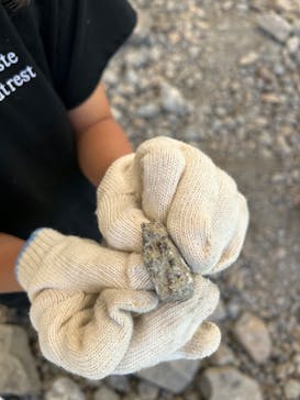 福井県立恐竜博物館に投稿された画像（2024/5/19）