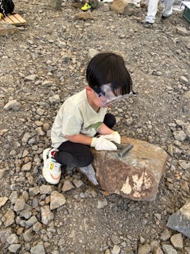 福井県立恐竜博物館に投稿された画像（2024/5/19）