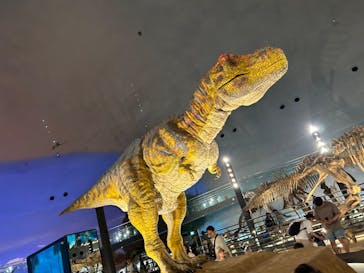 福井県立恐竜博物館に投稿された画像（2024/5/19）