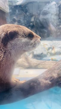 大分マリーンパレス水族館 「うみたまご」に投稿された画像（2024/5/19）