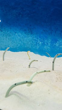 大分マリーンパレス水族館 「うみたまご」に投稿された画像（2024/5/19）