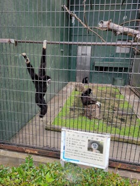 日立市かみね動物園に投稿された画像（2024/5/19）