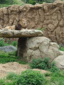 日立市かみね動物園に投稿された画像（2024/5/19）