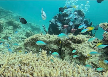 青の洞窟専門店　沖縄ダイビングショップ和に投稿された画像（2024/5/19）