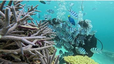 青の洞窟専門店　沖縄ダイビングショップ和に投稿された画像（2024/5/19）