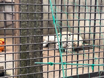 宇都宮動物園に投稿された画像（2024/5/19）