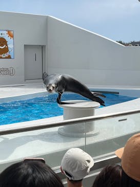 鴨川シーワールドに投稿された画像（2024/5/19）