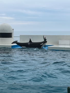 鴨川シーワールドに投稿された画像（2024/5/19）