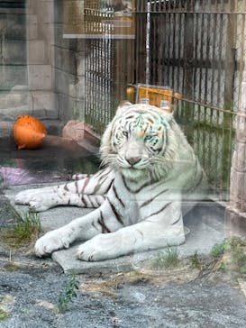 東武動物公園に投稿された画像（2024/5/19）