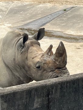 東武動物公園に投稿された画像（2024/5/19）