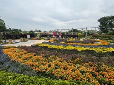 東武動物公園に投稿された画像（2024/5/19）