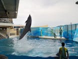 新江ノ島水族館に投稿された画像（2024/5/20）