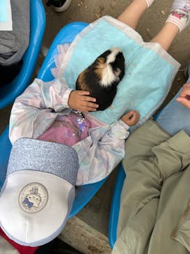 宇都宮動物園に投稿された画像（2024/5/19）