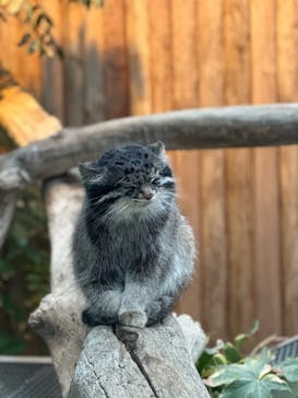 神戸どうぶつ王国に投稿された画像（2024/5/19）