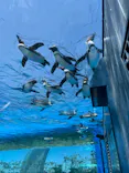 サンシャイン水族館に投稿された画像（2024/5/20）