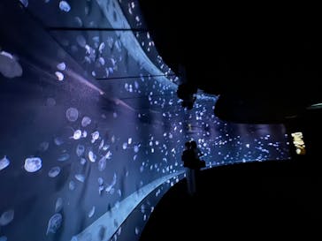 サンシャイン水族館に投稿された画像（2024/5/19）