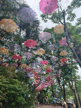 ムーミンバレーパークに投稿された画像（2024/5/19）