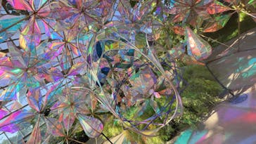 京成バラ園に投稿された画像（2024/5/19）